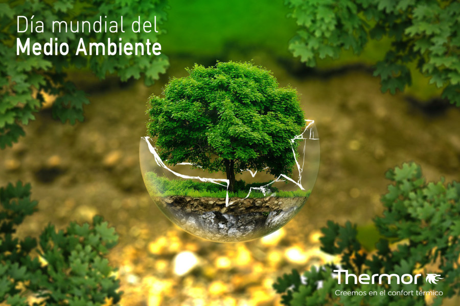 dia-mundial-medio-ambiente-thermor
